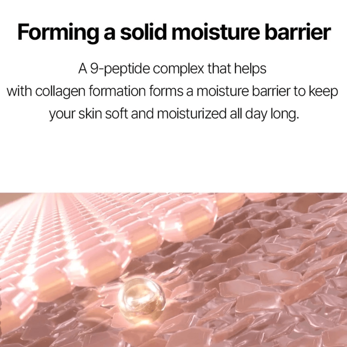 ONGREDIENTS Lotion 220ml ONGREDIENTS Skin Barrier Calming Lotion