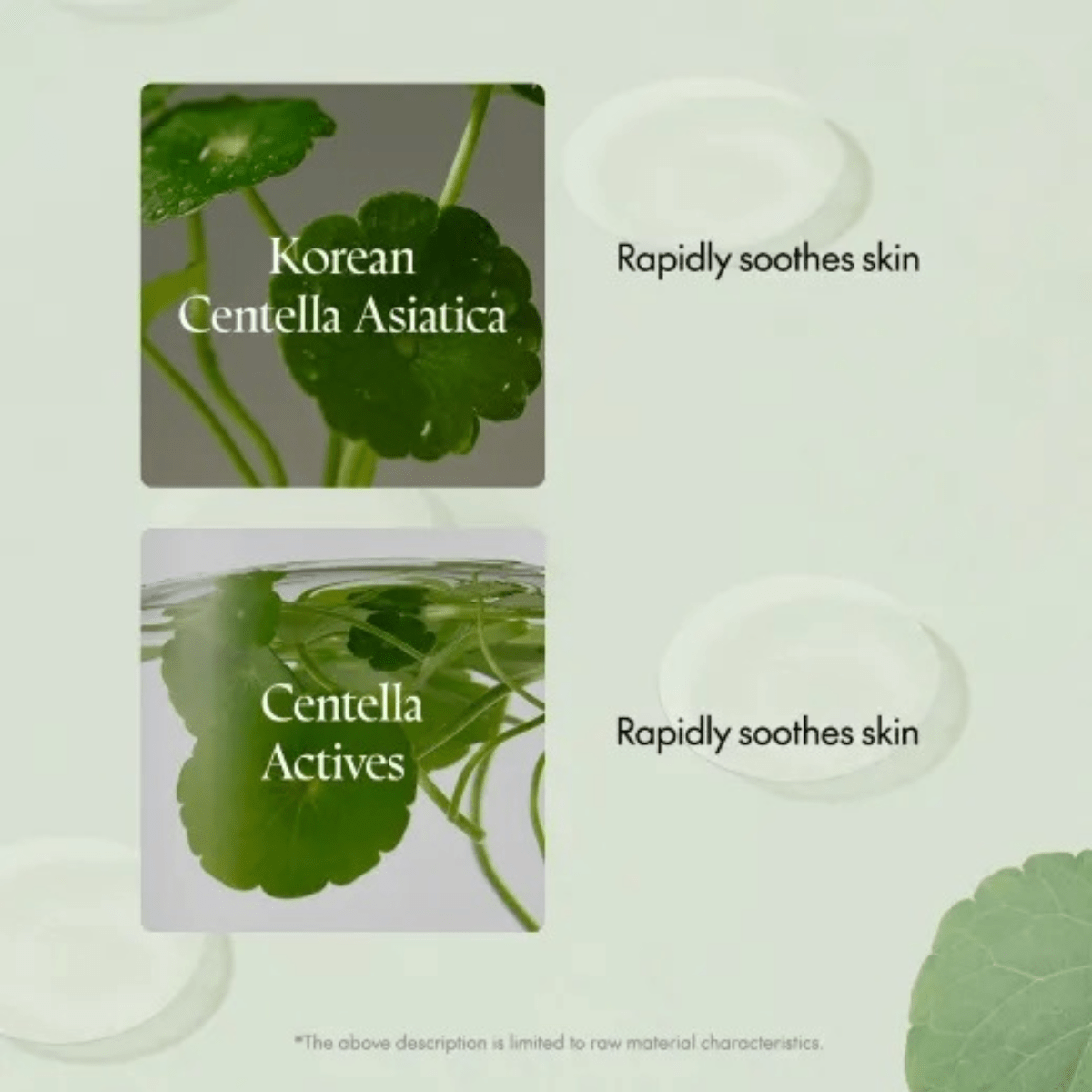 PURITO SEOUL Spot Patch 1pc (51ea) PURITO SEOUL Wonder Releaf Centella Spot Patch