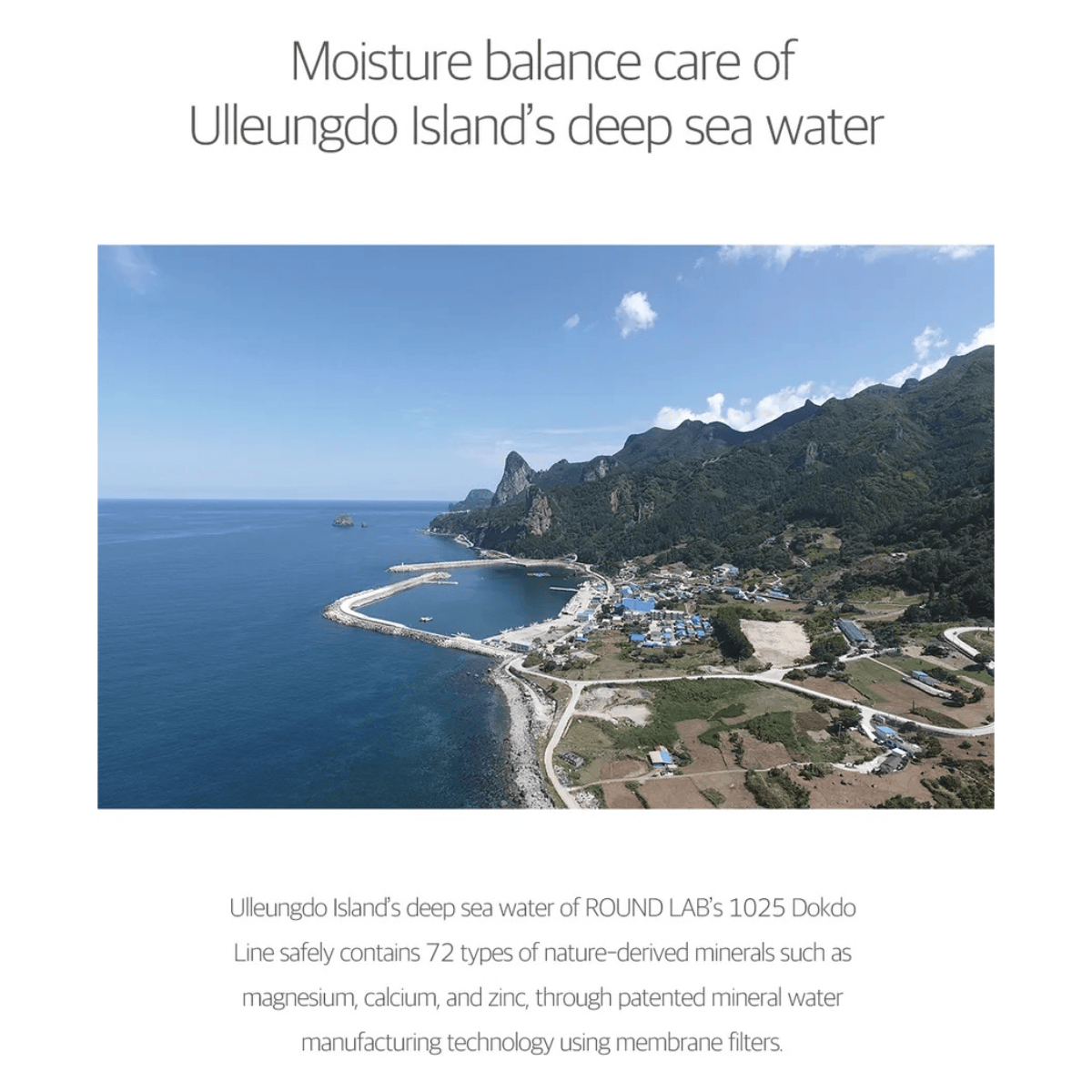 ROUND LAB Cleansing Foam 150ml ROUND LAB 1025 Dokdo Bubble Foam