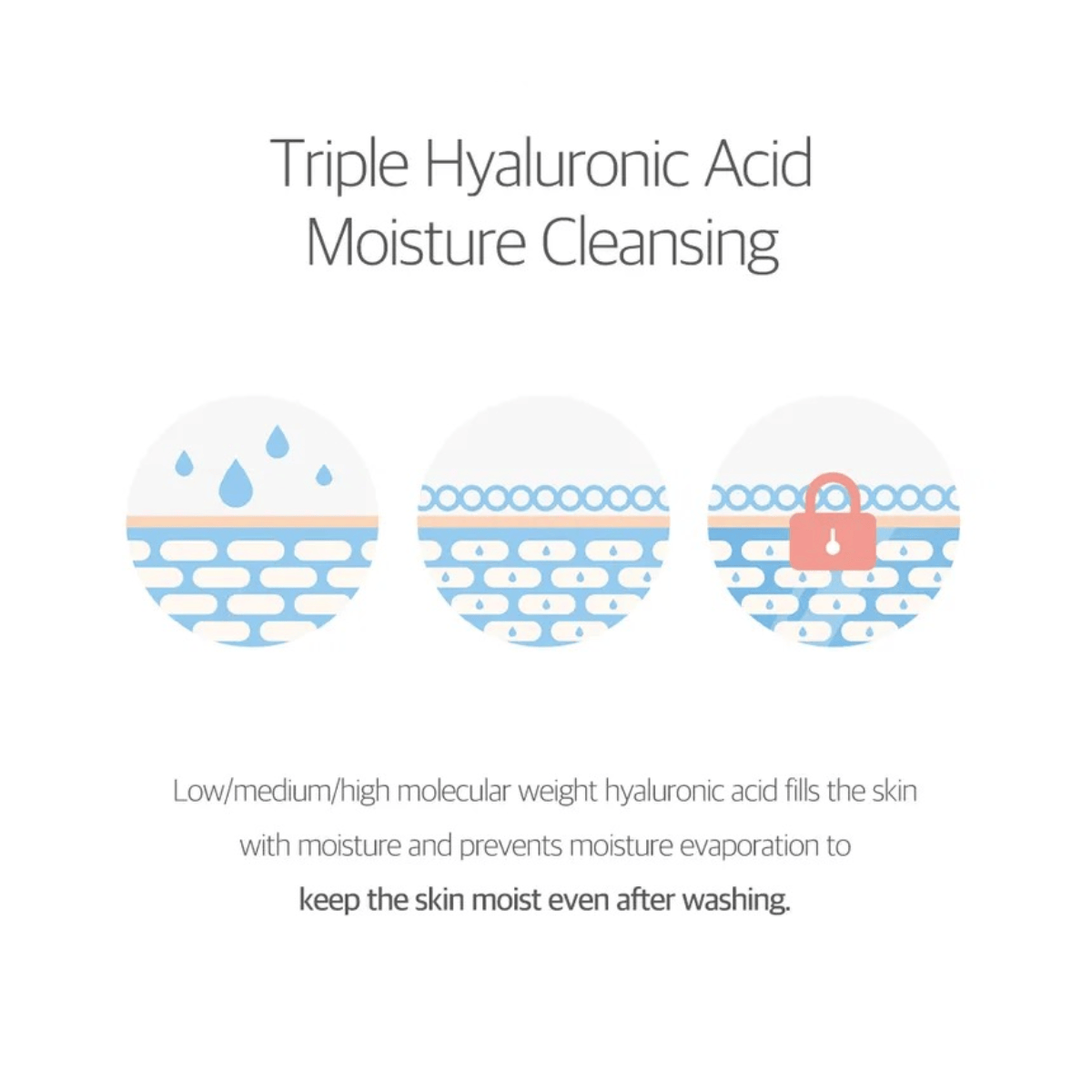 ROUND LAB Cleansing Foam 150ml ROUND LAB 1025 Dokdo Bubble Foam