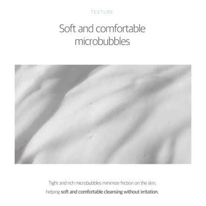 ROUND LAB Cleansing Foam 150ml ROUND LAB 1025 Dokdo Bubble Foam