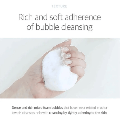 ROUND LAB Cleansing Foam 150ml ROUND LAB 1025 Dokdo Cleanser
