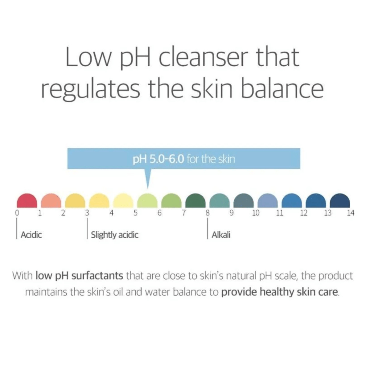 ROUND LAB Cleansing Foam 150ml ROUND LAB 1025 Dokdo Cleanser