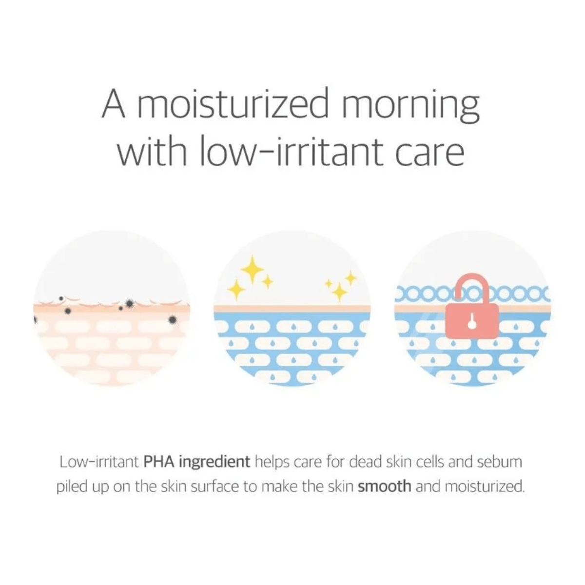 ROUND LAB Sleeping Mask 100ml ROUND LAB 1025 Dokdo Sleeping Pack
