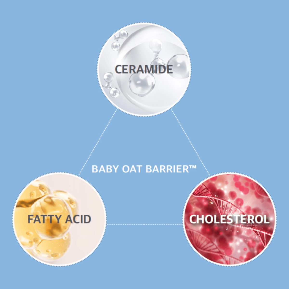 ROUND LAB Body Lotion 300ml ROUND LAB Baby Mild Lotion