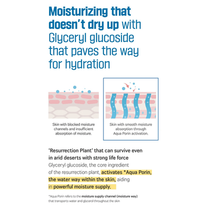 ROUND LAB Birch Juice Ampoule