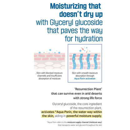 ROUND LAB Cleansing Pad 210g (60pcs) ROUND LAB Birch Juice Cleansing Pad