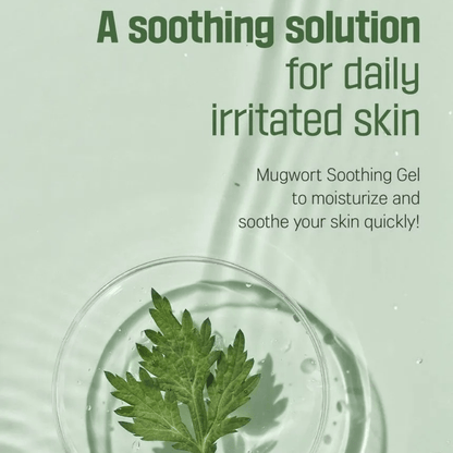 ROUND LAB Gel 150ml ROUND LAB Mugwort Calming Soothing Gel