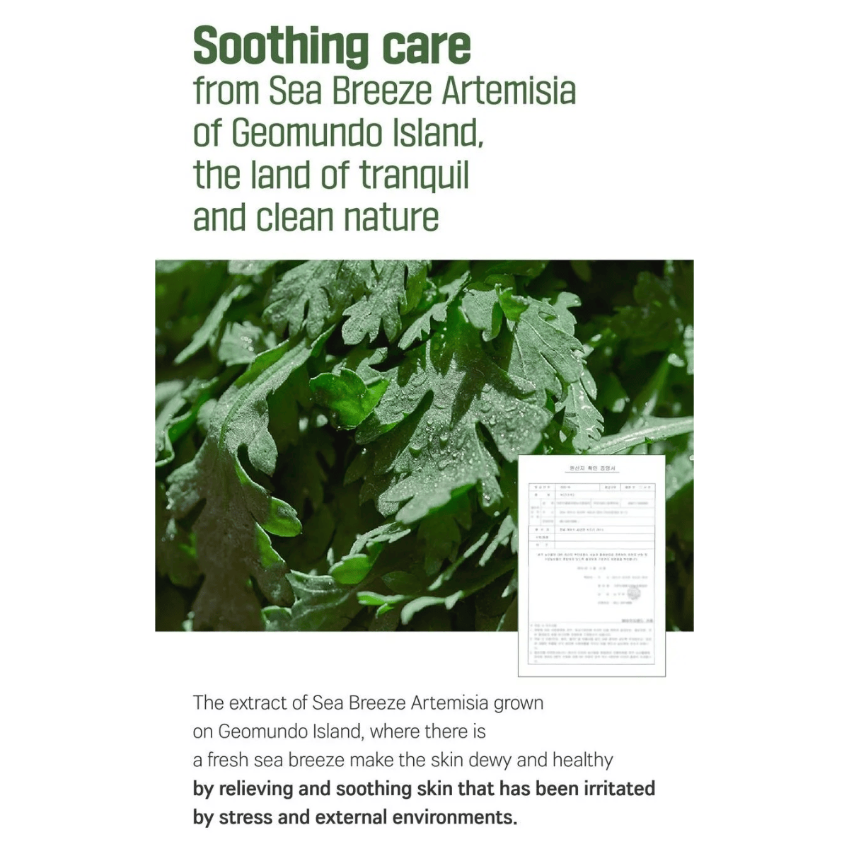 ROUND LAB Gel 150ml ROUND LAB Mugwort Calming Soothing Gel