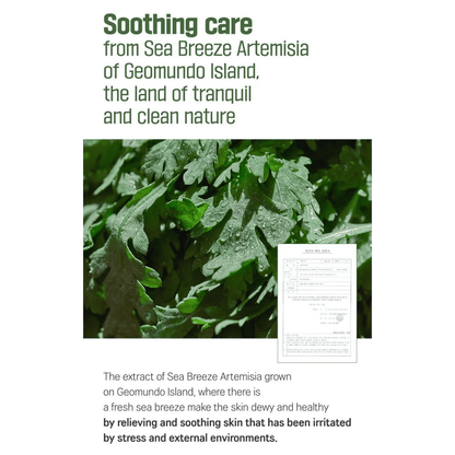 ROUND LAB Gel 150ml ROUND LAB Mugwort Calming Soothing Gel