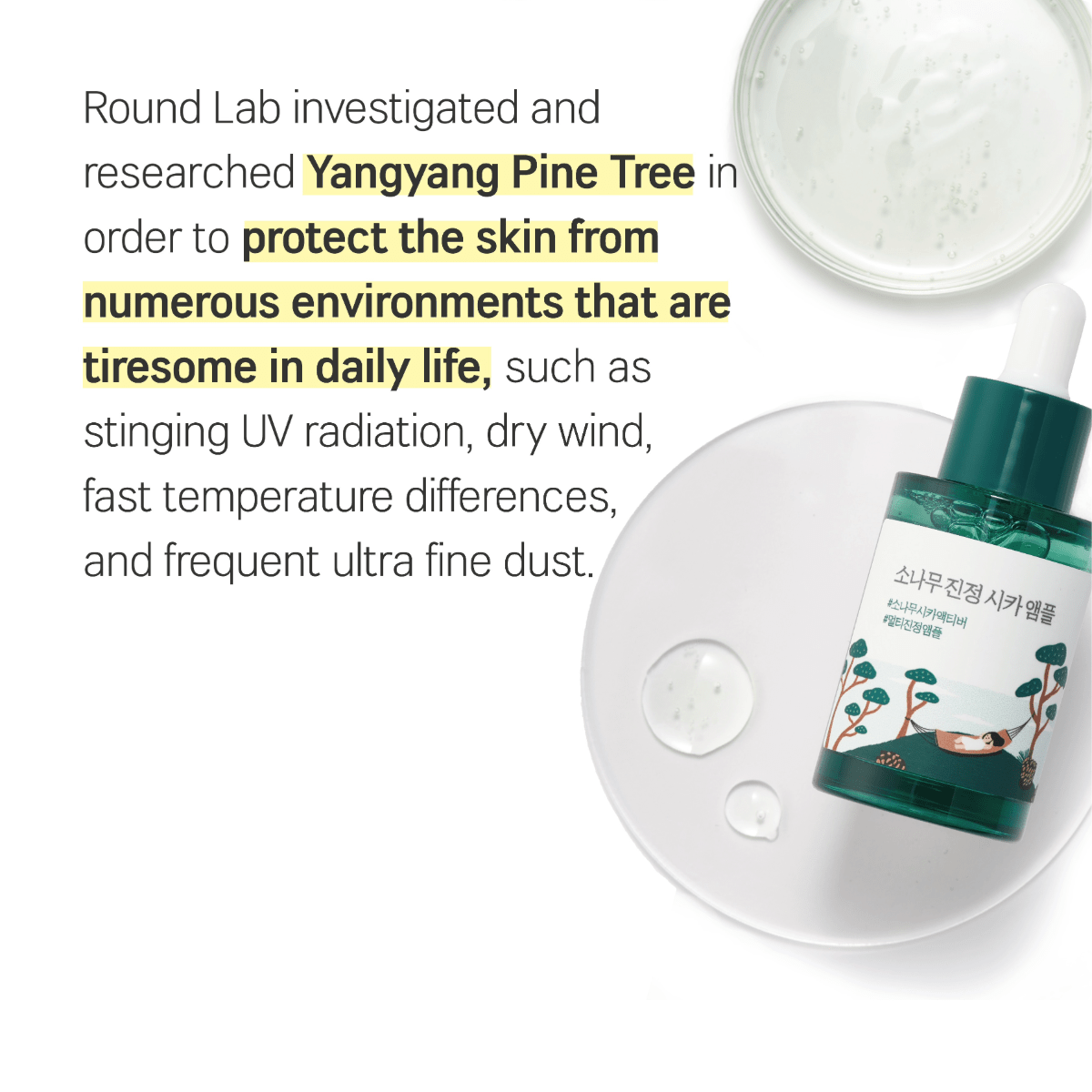 ROUND LAB Ampoule 30ml ROUND LAB Pine Calming Cica Ampoule