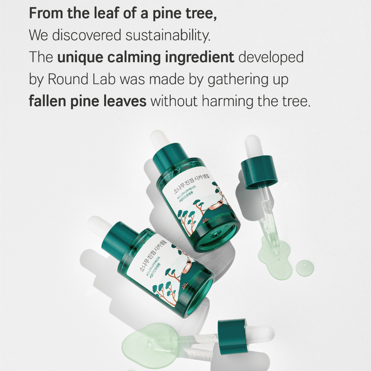 ROUND LAB Ampoule 30ml ROUND LAB Pine Calming Cica Ampoule