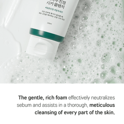 ROUND LAB Cleansing Foam 150ml ROUND LAB Pine Calming Cica Cleanser