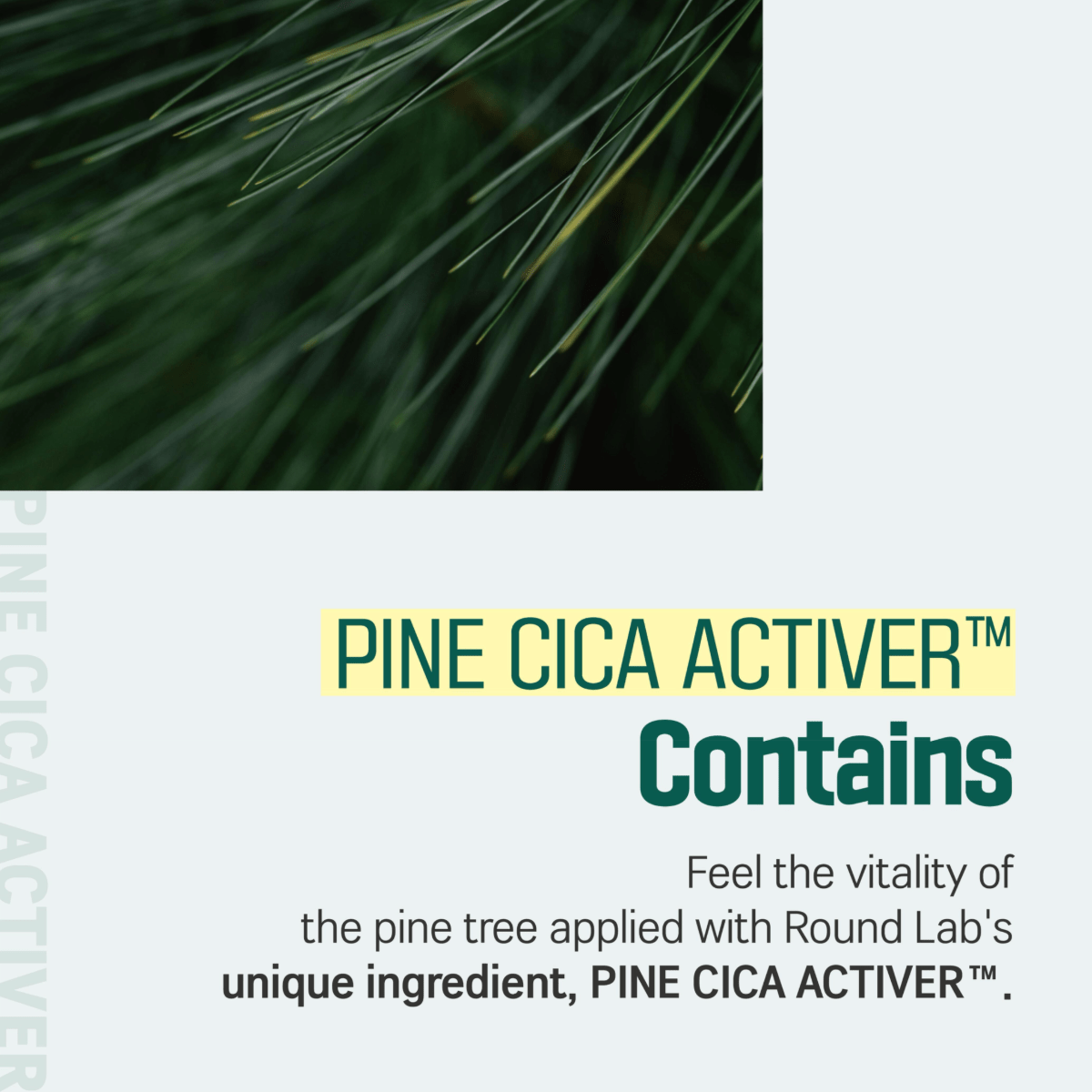 ROUND LAB Cleansing Foam 150ml ROUND LAB Pine Calming Cica Cleanser