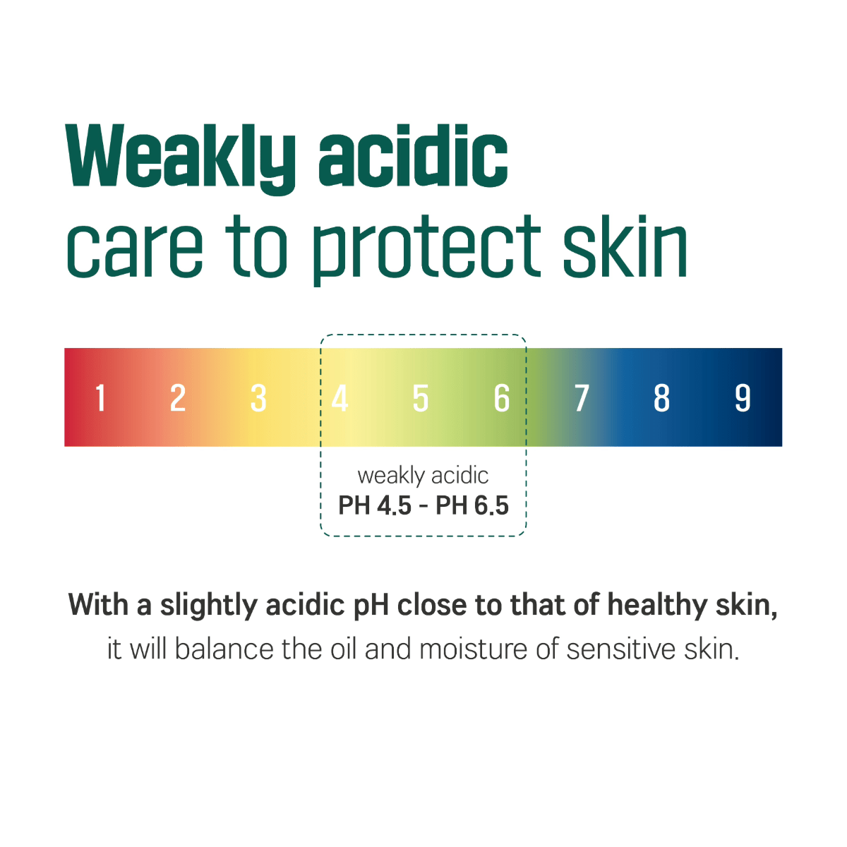 ROUND LAB Cream 50ml ROUND LAB Pine Calming Cica Cream