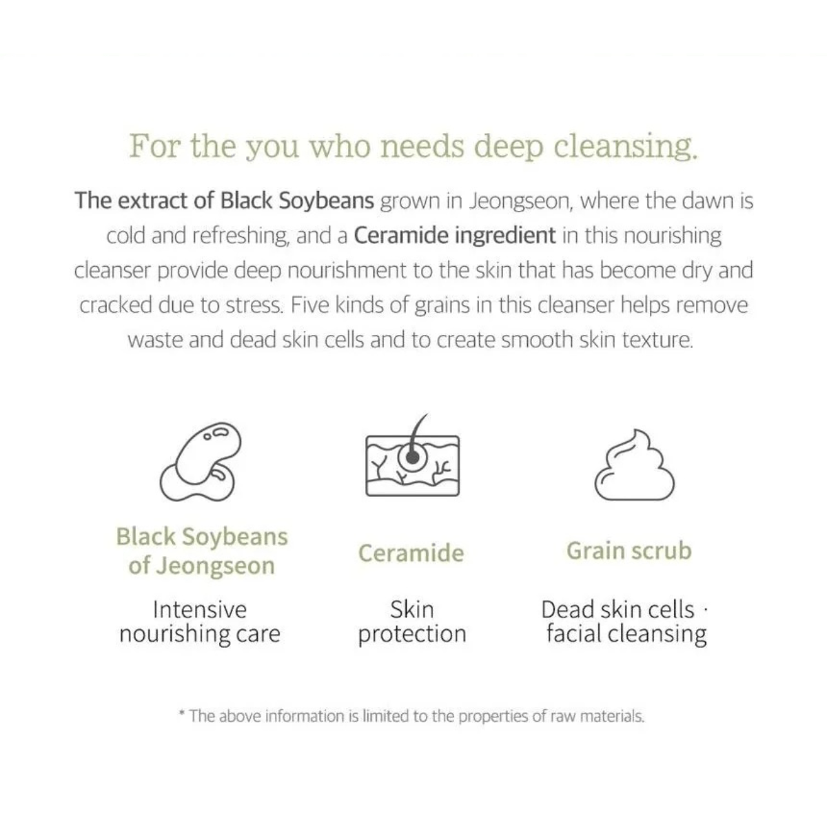 ROUND LAB Cleansing Foam 150ml ROUND LAB Soybean Cleanser