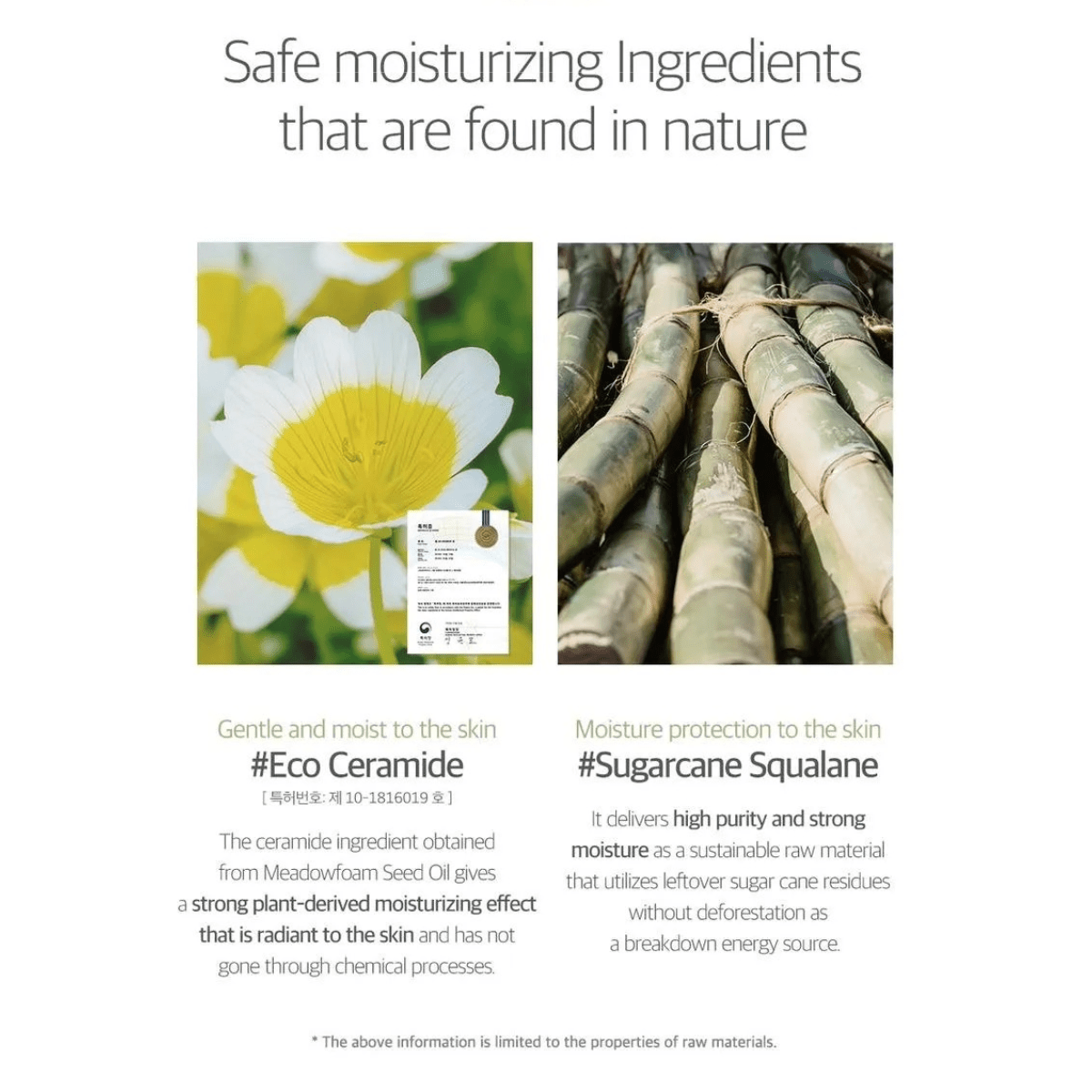 ROUND LAB Cleansing Foam 150ml ROUND LAB Soybean Cleanser