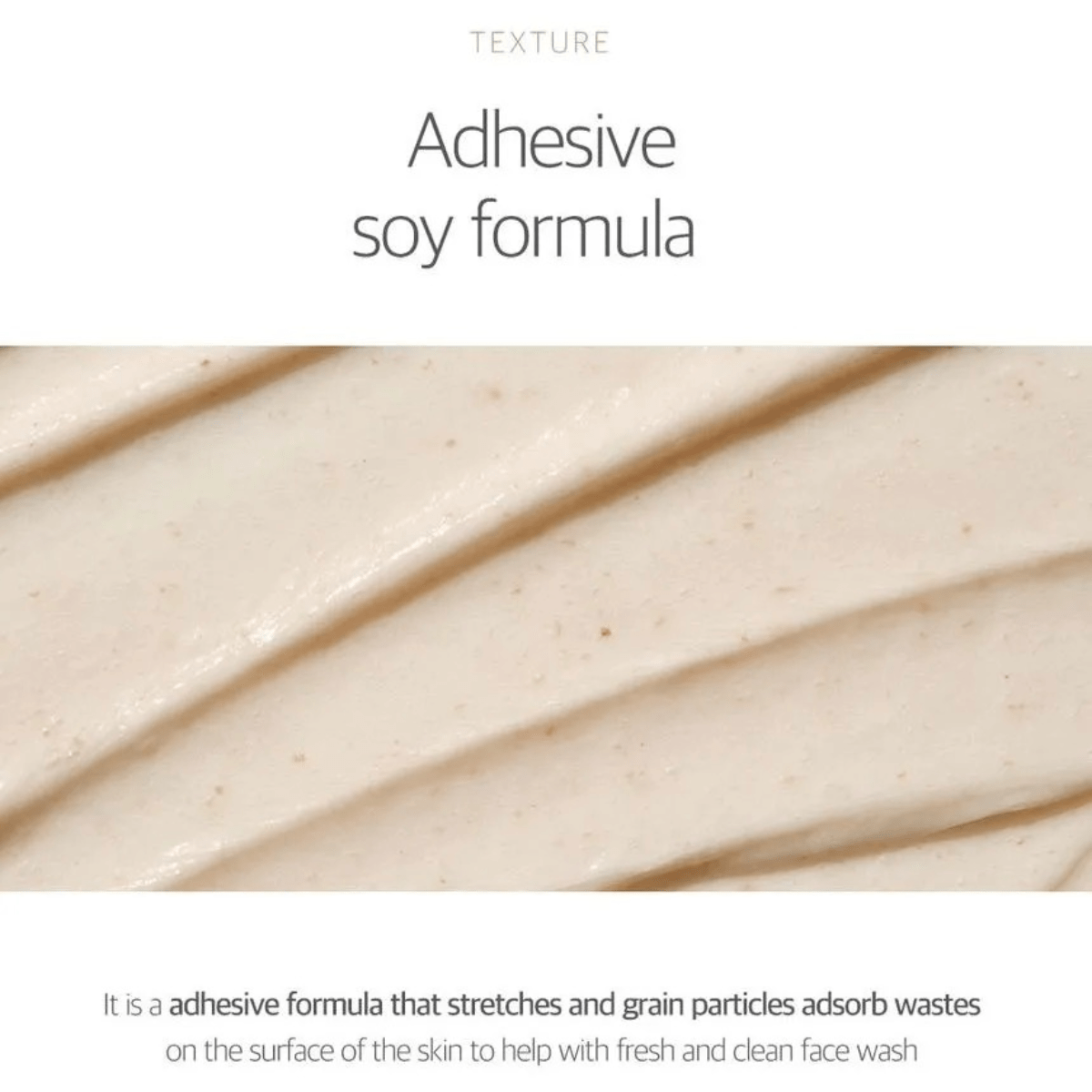 ROUND LAB Cleansing Foam 150ml ROUND LAB Soybean Cleanser