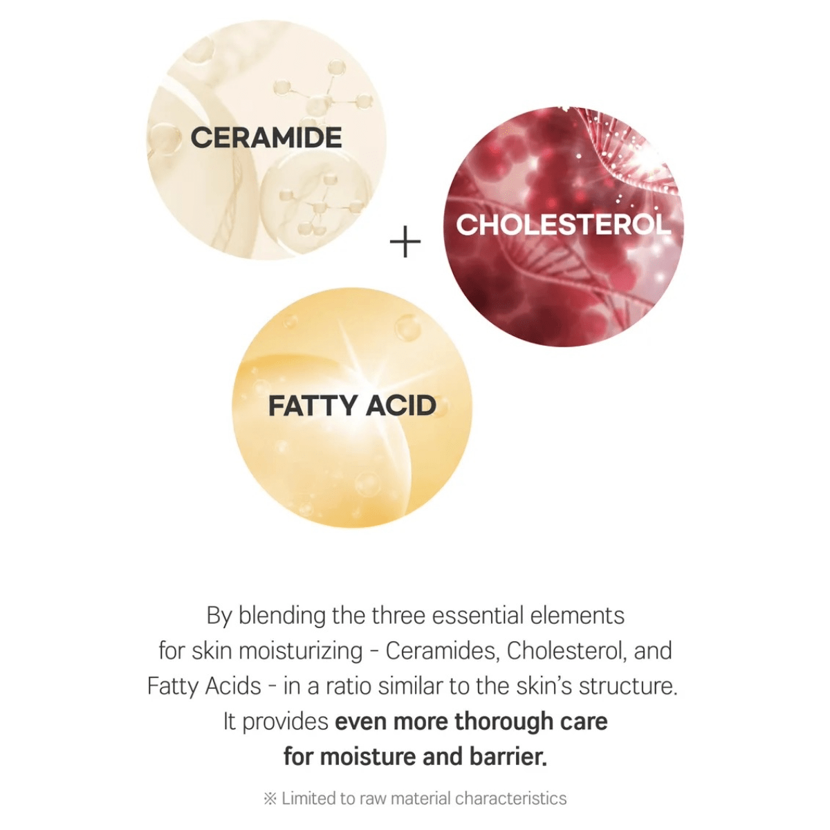 ROUND LAB Cream 80ml ROUND LAB Soybean Panthenol Cream