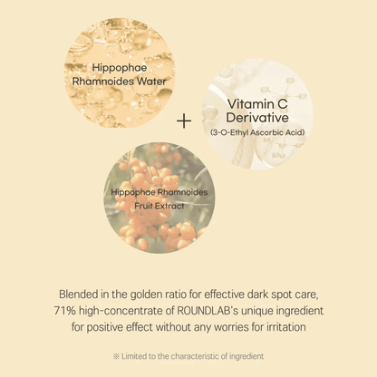 ROUND LAB Cream 50ml ROUND LAB Vita Niacinamide Dark Spot Cream