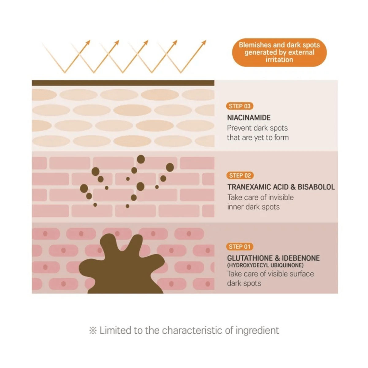 ROUND LAB Serum 30ml ROUND LAB Vita Niacinamide Dark Spot Serum