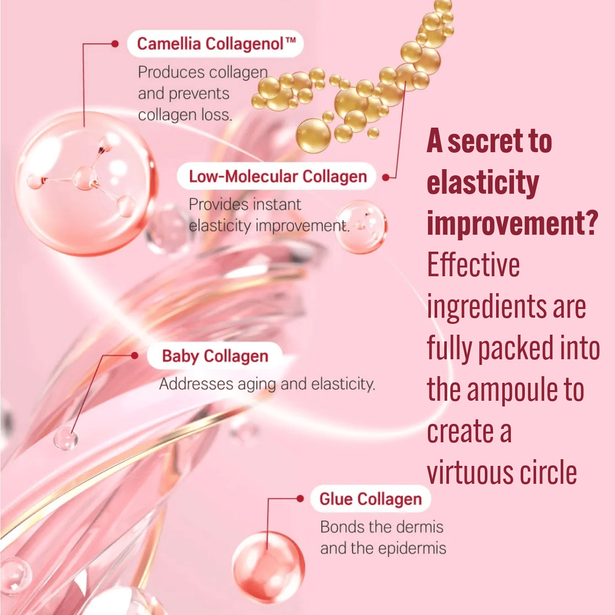 ROUND LAB Ampoule 30ml ROUND LAB Camellia Deep Collagen Firming Ampoule