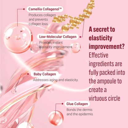 ROUND LAB Ampoule 30ml ROUND LAB Camellia Deep Collagen Firming Ampoule