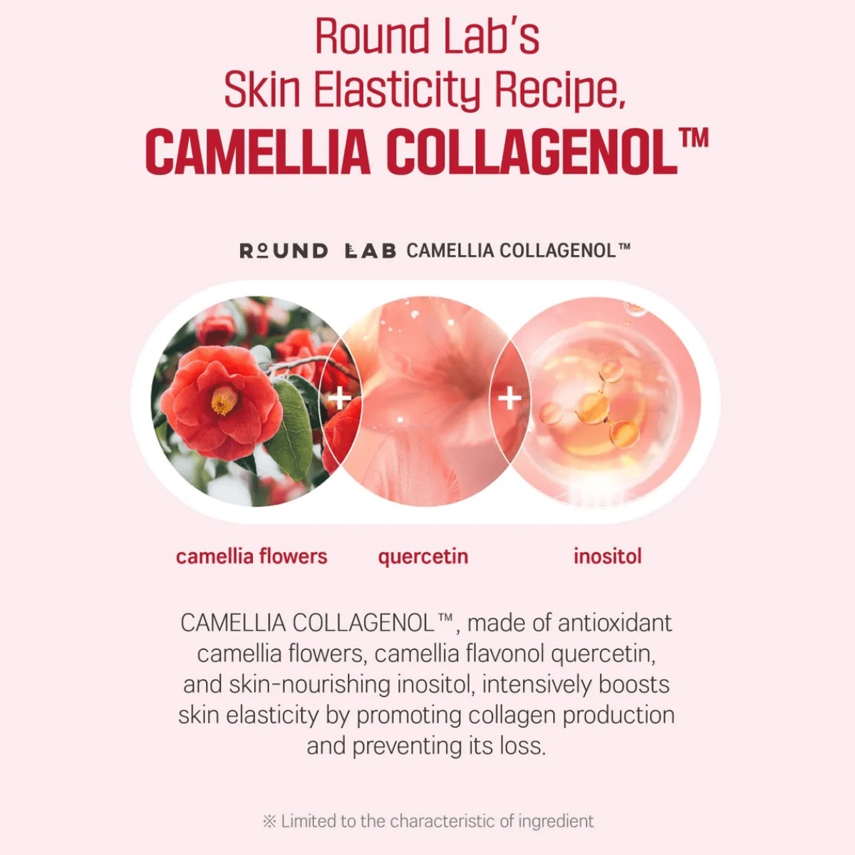 ROUND LAB Ampoule 30ml ROUND LAB Camellia Deep Collagen Firming Ampoule