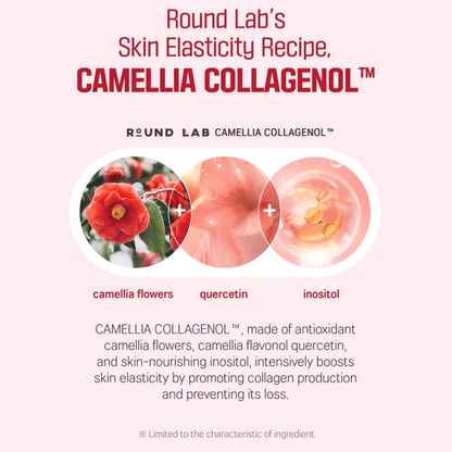 ROUND LAB Ampoule 30ml ROUND LAB Camellia Deep Collagen Firming Ampoule
