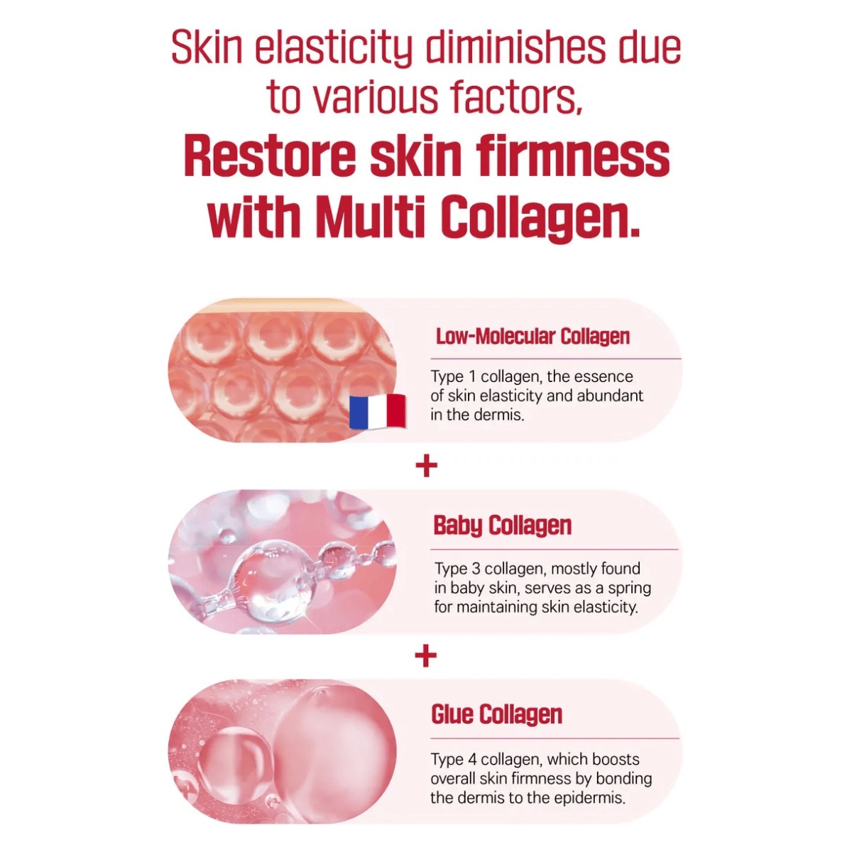 ROUND LAB Ampoule 30ml ROUND LAB Camellia Deep Collagen Firming Ampoule