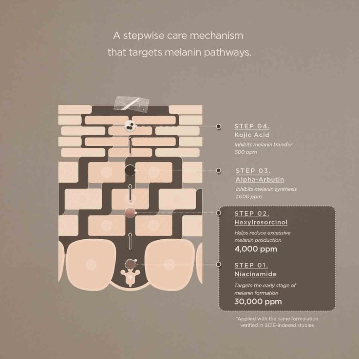SKIN1004 Cream 75ml SKIN1004 Madagascar Centella Teca Cream