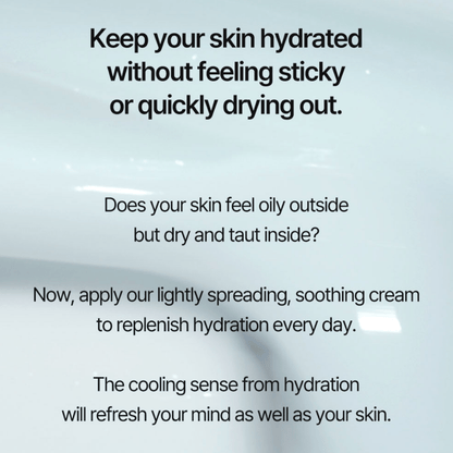 TORRIDEN Gel cream TORRIDEN DIVE-IN Low Molecular Hyaluronic Acid Soothing Cream